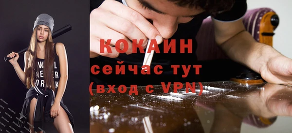 тгк Михайловск