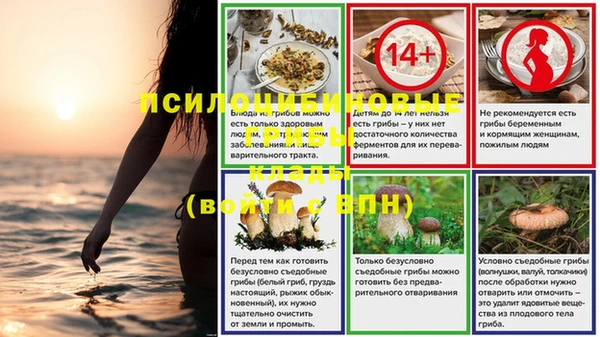 тгк Михайловск