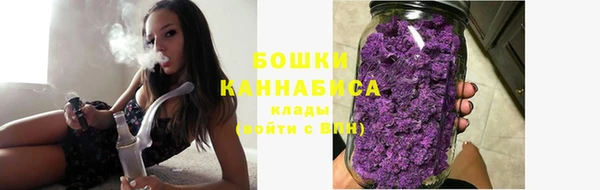 спайс Михайлов