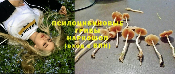 спайс Михайлов