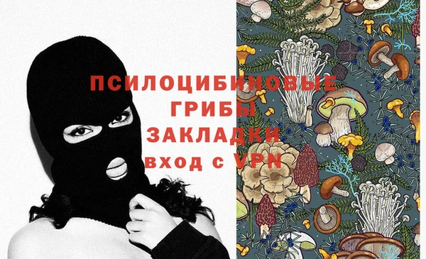 тгк Михайловск