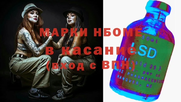 дживик Сясьстрой