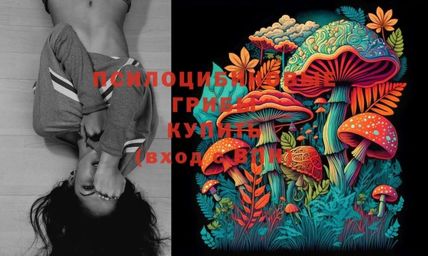 спайс Михайлов